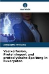 Vesikelfusion, Proteinimport und proteolytische Spaltung in Eukaryoten