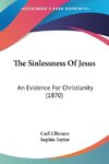 The Sinlessness Of Jesus