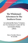 The Whaleman's Adventures In The Southern Ocean
