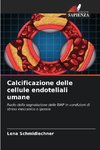 Calcificazione delle cellule endoteliali umane