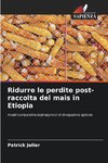 Ridurre le perdite post-raccolta del mais in Etiopia