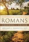 An Intertextual Commentary on Romans, Volume 4