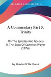 A Commentary Part 3, Trinity