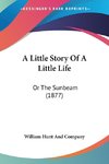 A Little Story Of A Little Life