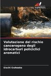 Valutazione del rischio cancerogeno degli idrocarburi policiclici aromatici
