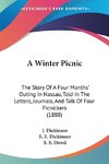 A Winter Picnic
