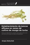Establecimiento de Juncus effusus en zonas de cultivo de musgo de turba