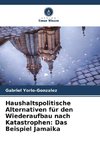 Haushaltspolitische Alternativen für den Wiederaufbau nach Katastrophen: Das Beispiel Jamaika