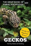 Geckos