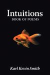 Intuitions