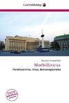Morbillivirus