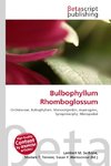 Bulbophyllum Rhomboglossum