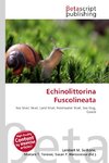Echinolittorina Fuscolineata