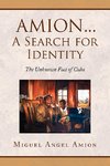 Amion...a Search for Identity