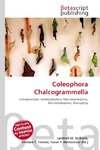 Coleophora Chalcogrammella