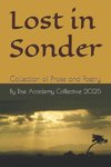 Lost in Sonder