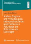 Analyse, Prognose und Vermeidung von strömungsinduzierten niederfrequenten Pulsationen am Unterboden von Fahrzeugen