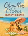 Chandler & Clover Brave the Beach