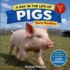 Pigs