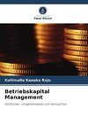 Betriebskapital Management