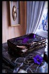Violet Ribbon