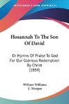 Hosannah To The Son Of David