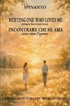 MEETING ONE WHO LOVE ME - INCONTRARE CHI MI AMA   verses beyond love - versi oltre l'amore