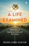 A Life Examined