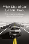 What Kind of Car Do You Drive?