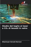 Studio del taglio al laser a CO¿ di tessuti in vetro