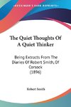 The Quiet Thoughts Of A Quiet Thinker