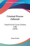 Criminal-Process Zalheimb