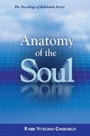ANATOMY OF THE SOUL