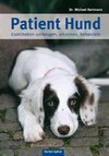 Patient Hund