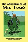 The Adventures of Old Mr. Toad