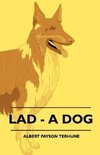 Lad - A Dog