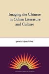 Imaging the Chinese in Cuban Literature and Culture
