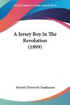 A Jersey Boy In The Revolution (1899)