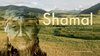 Shamal