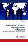 Fundamental Constructs Affecting Business Sustainability