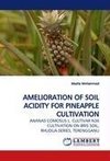 AMELIORATION OF SOIL ACIDITY FOR PINEAPPLE CULTIVATION