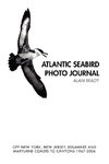 Atlantic Seabird Photo Journal
