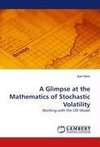 A Glimpse at the Mathematics of Stochastic Volatility