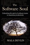 The Software Soul