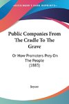 Public Companies From The Cradle To The Grave