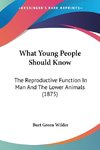 What Young People Should Know