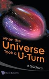 When the Universe Took A U-Turn