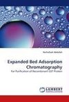 Expanded Bed Adsorption Chromatography