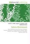 Salvia Divinorum