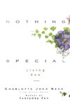Nothing Special